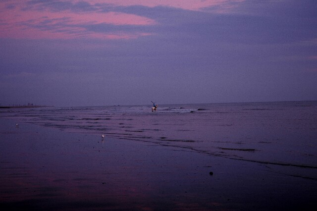 min 2007 11 25 camber plage 070